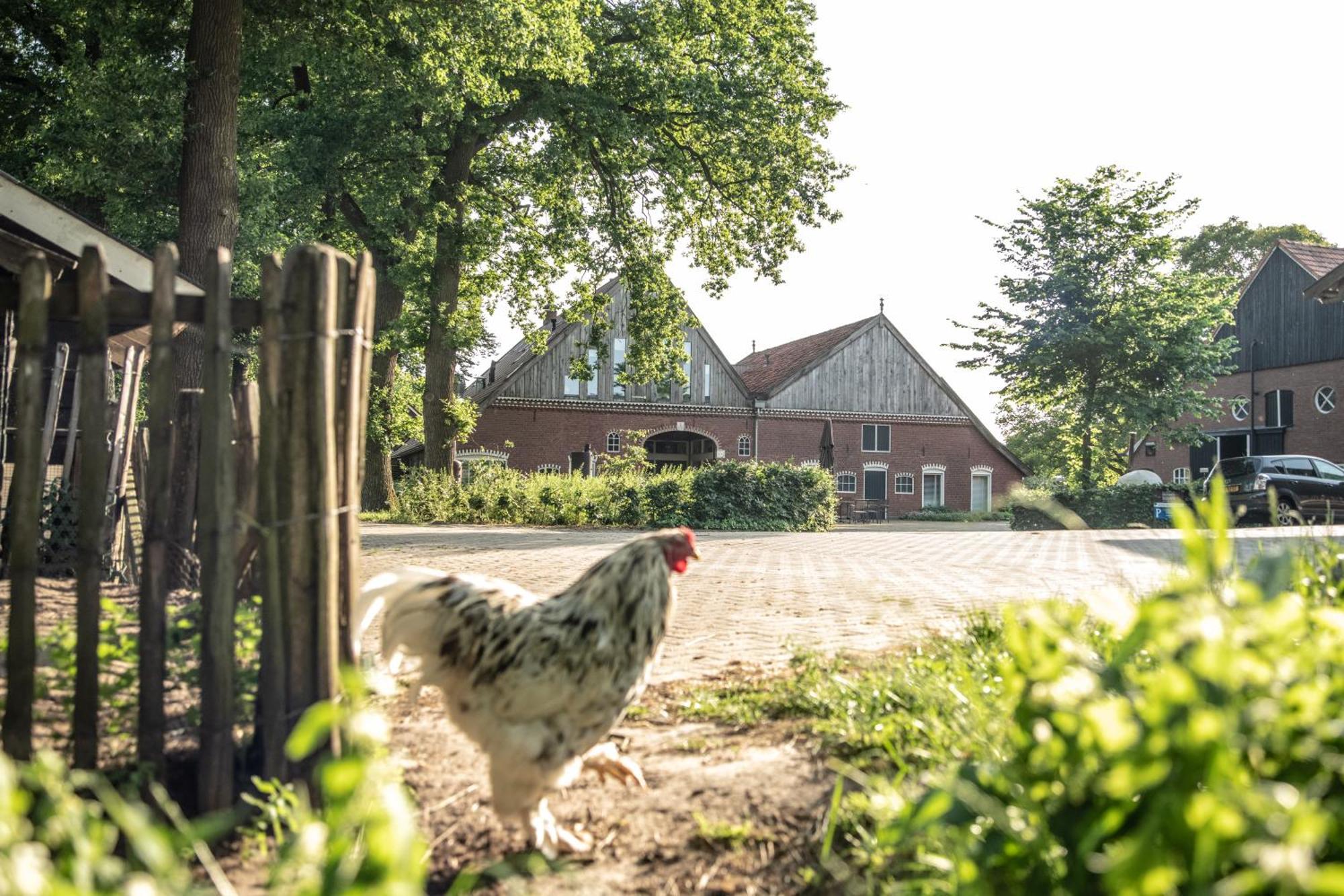 Erfgoed Bossem Guest house